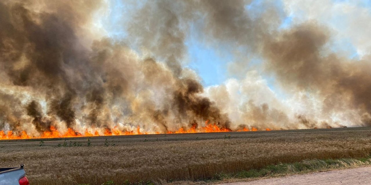 Buğday tarlaları alev alev…