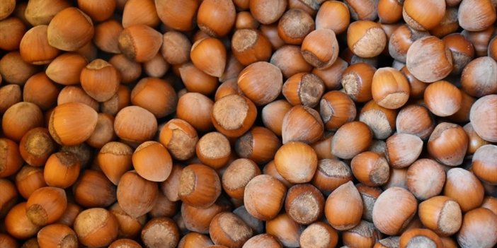 Türkiye Fındık İhracatından 10 Ayda 1,8 Milyar Dolar Kazandı