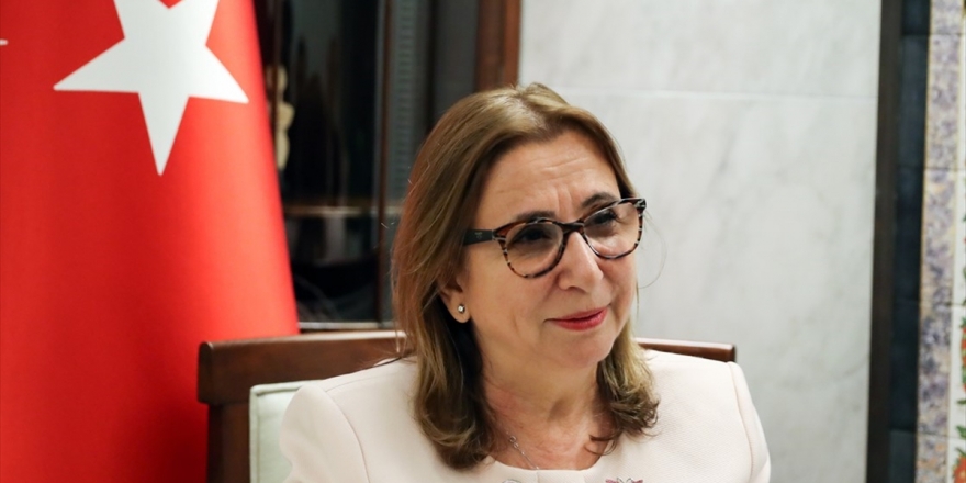 Japonya İle 'Serbest Ticaret' Masada