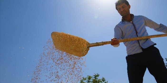 TMO Hububat Alımını Kurban Bayramı Tatili Döneminde De Sürdürecek