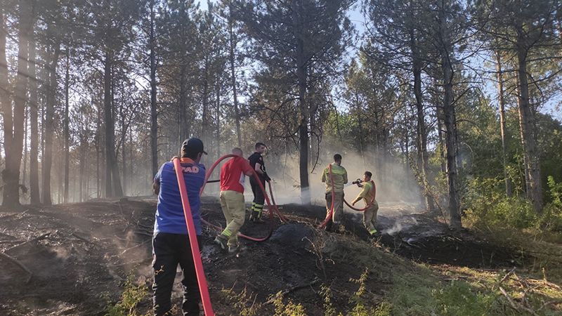 Edirne'de orman yangını!