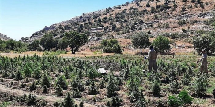 Diyarbakır'da Eren Abluka-21 Şehit Jandarma Uzman Çavuş Kadir Çakı Operasyonu Başlatıldı