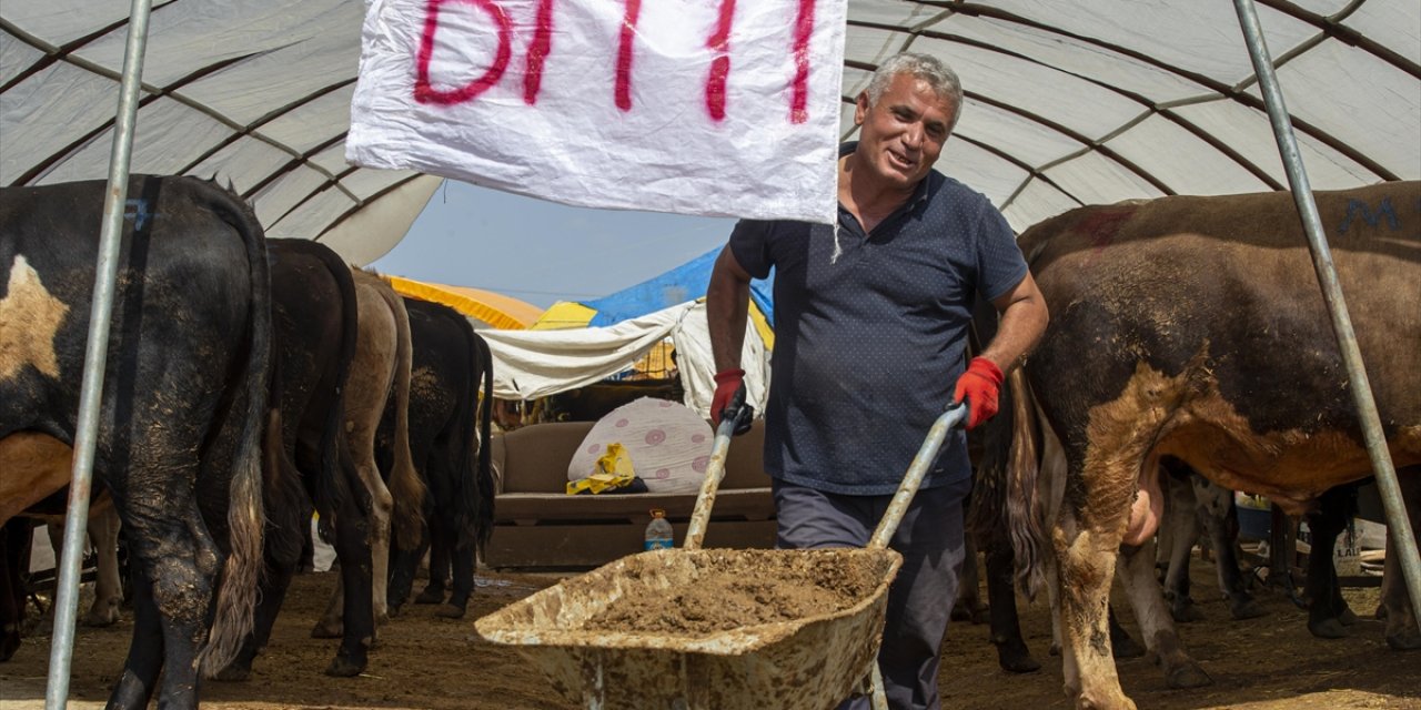 Başkentte Hayvan Pazarlarındaki Kurbanlıkların Büyük Bölümü Satıldı