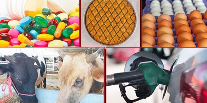 Zamlar Bayramda Tatil Yapmadı