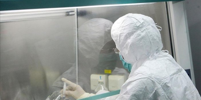 Yeni Zelanda'da İlk Maymun Çiçeği Vakası Tespit Edildi