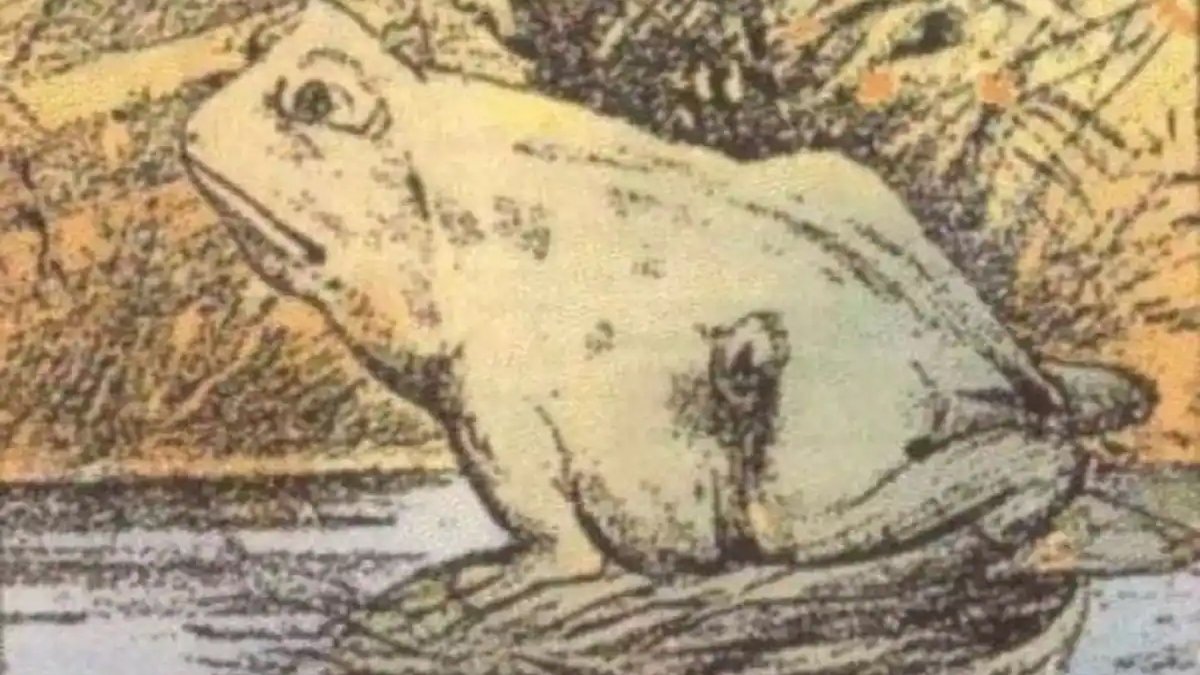 Bu Kurbağa Resmindeki Saklı Atı Bulabildiniz mi? Yüzde 99'u Bulamıyor...