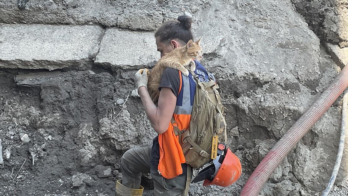 Türkiye'nin Dört Bir Yanından Gelen Afad Gönüllüleri Bozkurt'u Yeniden Temizledi