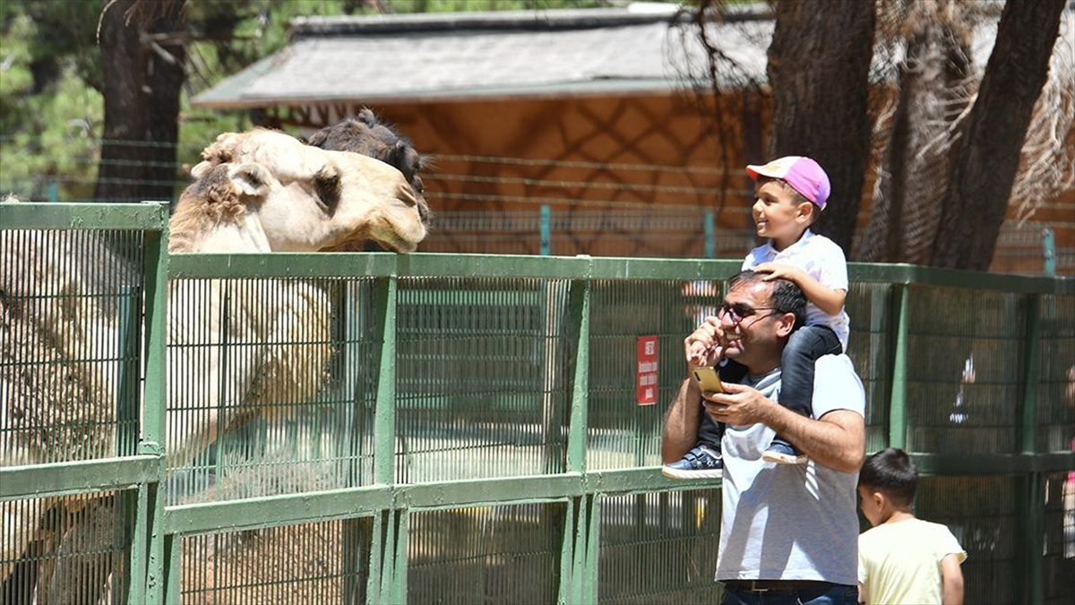 Gaziantep Hayvanat Bahçesi'nde Bayram Yoğunluğu