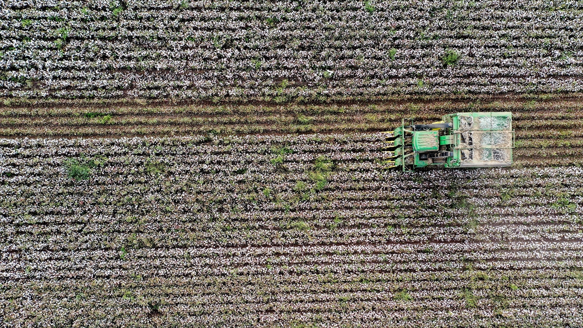 Tarım Grubundan İhracatta İlk Yarı Rekoru
