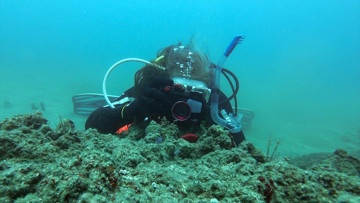 Fotoğraf Tutkunları Mersin Kıyılarındaki Su Altı Kanyonları İçin Dalıyor