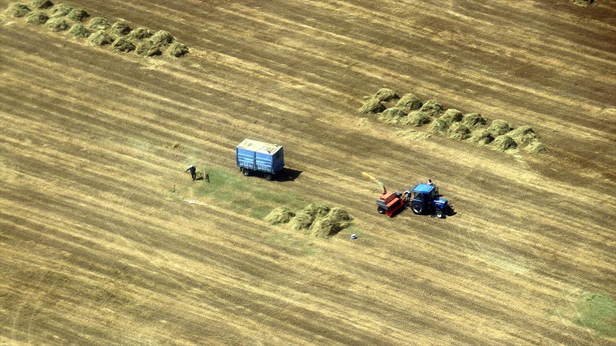 Ağrı'da Çiftçilerin Tarlalarda Zorlu Mesaisi