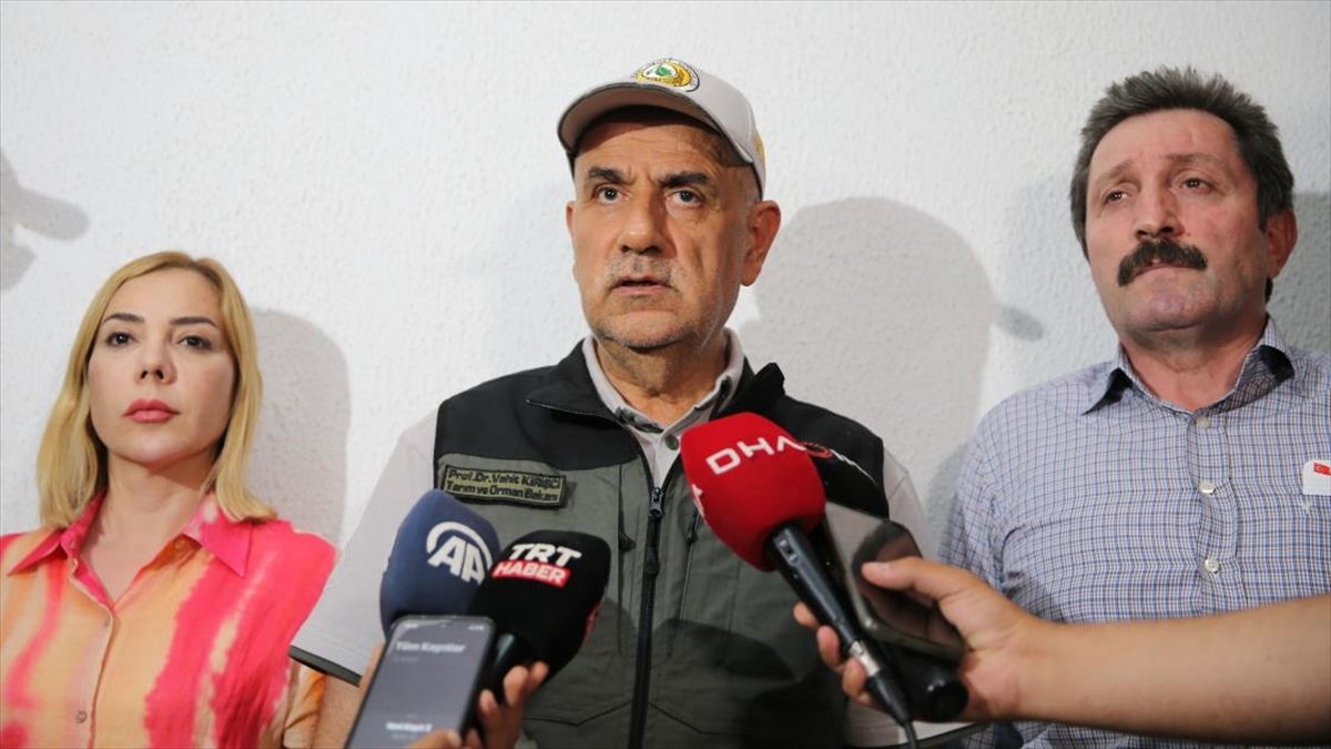 Tarım Ve Orman Bakanı Kirişci: Datça'daki Orman Yangını İlk Tespitlere Göre Elektrik Trafosundan Çıktı