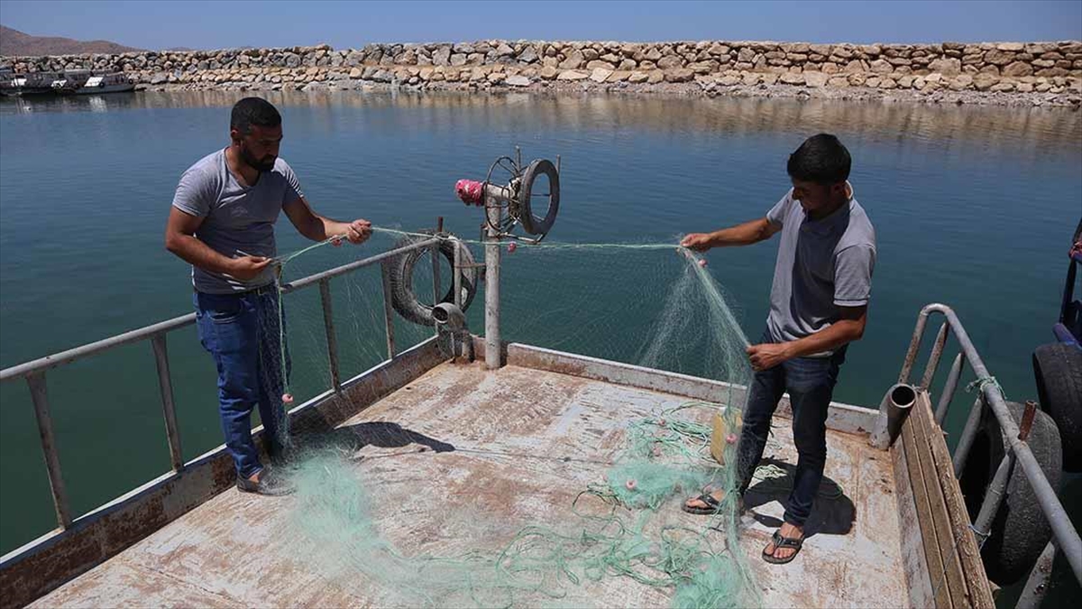 Balıkçılar Yarın 'vira Bismillah' Diyerek Van Gölü'ne Ağ Atacak