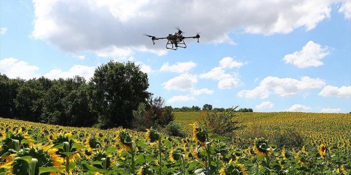 Trakya'da 'çayır Tırtılına' Karşı İlaçlı Mücadelede Sona Gelindi