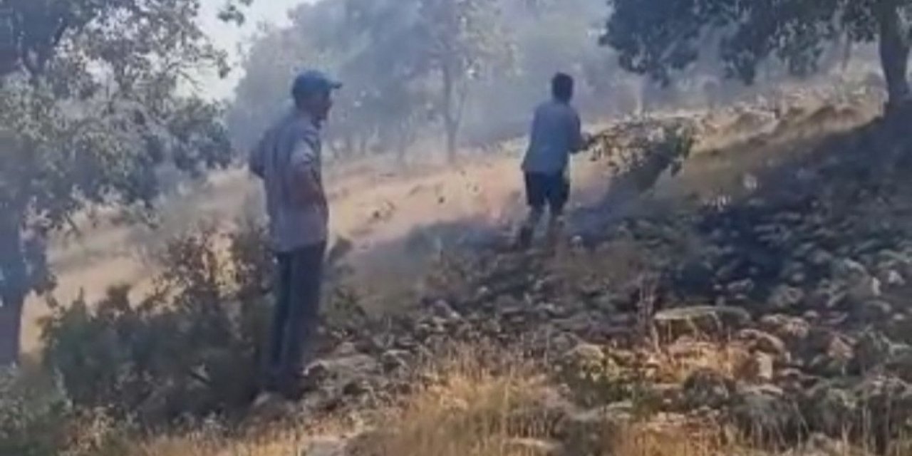 Mardin'de ormanlık alandaki yangın 6 saatte söndürüldü