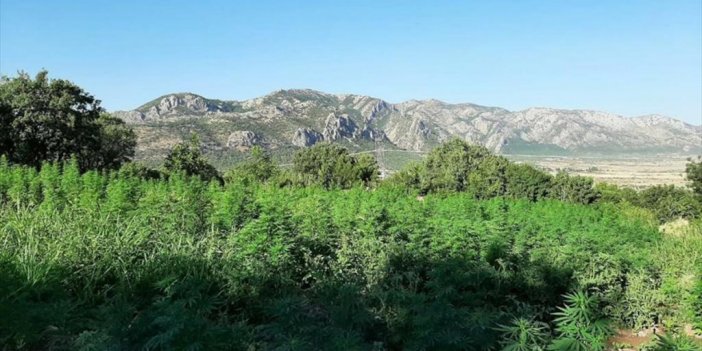 İçişleri Bakanlığınca Diyarbakır'da Narko Terör Operasyonu Başlatıldı