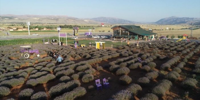 Tatilcilerin Mola Adresi 'dinarelli Lavanta Bahçesi' Oldu