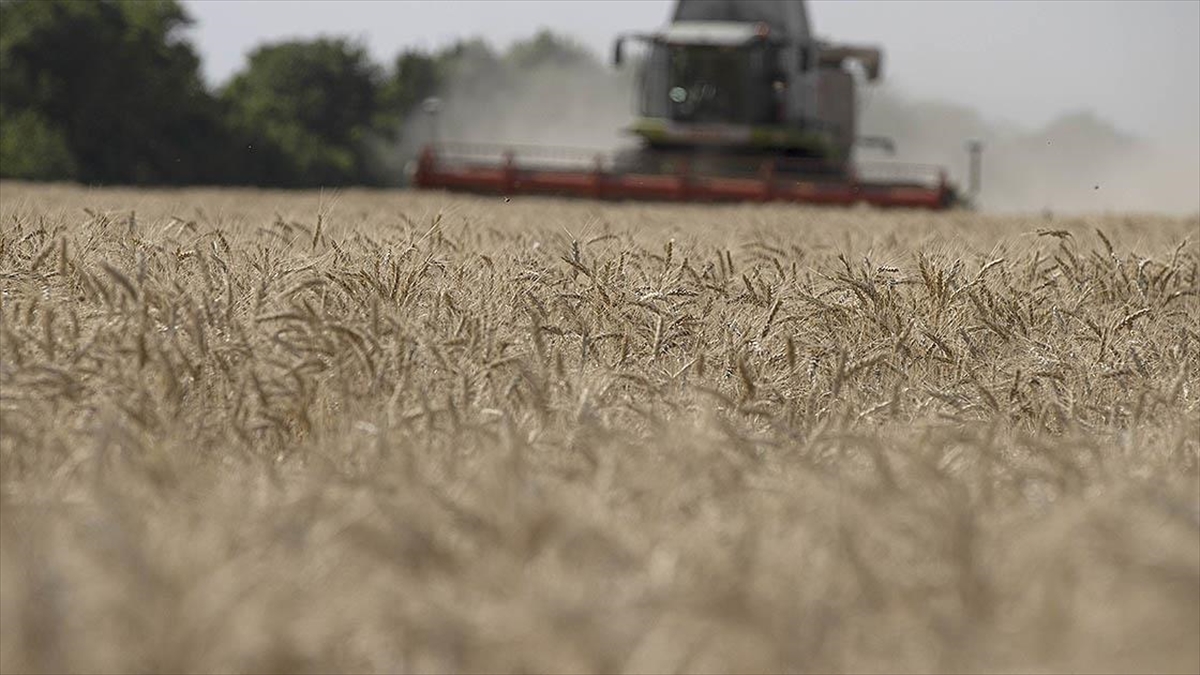 Gıda Krizinin Çözümünde Türkiye’nin Diplomasi Zaferi