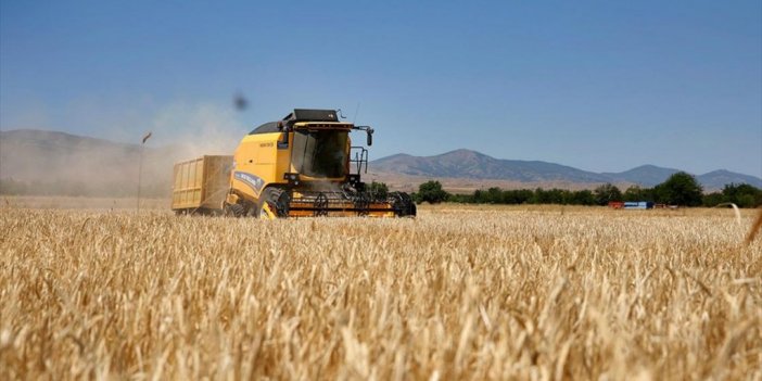 Elazığ'da Yağışlar Arpa Ve Buğdayda Üretimi Artırdı