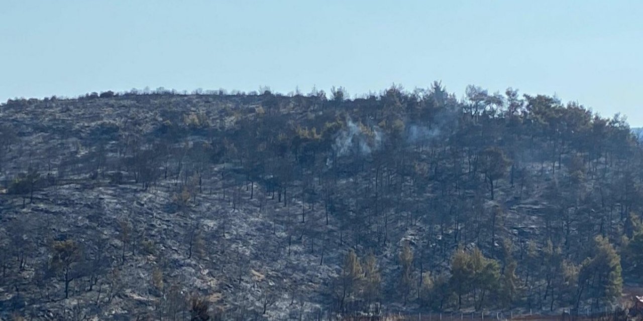 Manisa’daki orman yangını 13,5 saat sonra kontrol altına alındı