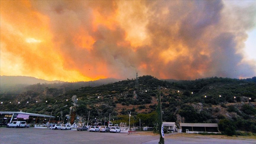 Aydın'da orman yangını! Ekiplerin müdahalesi sürüyor
