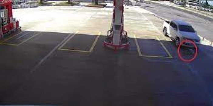 Yalova'da Korkunç Vahşet