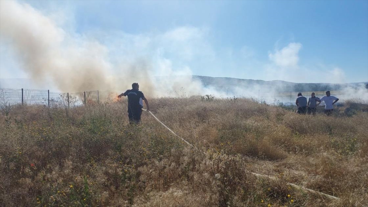 Alacahöyük Ören Yeri'ndeki Yangın Söndürüldü