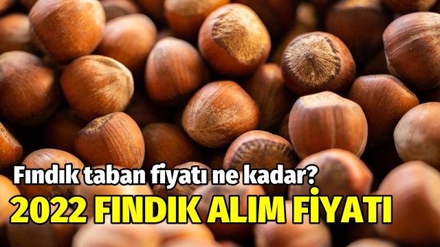 Fındık alım taban fiyatı açıklandı! İşte 2022 fındık alım fiyatları