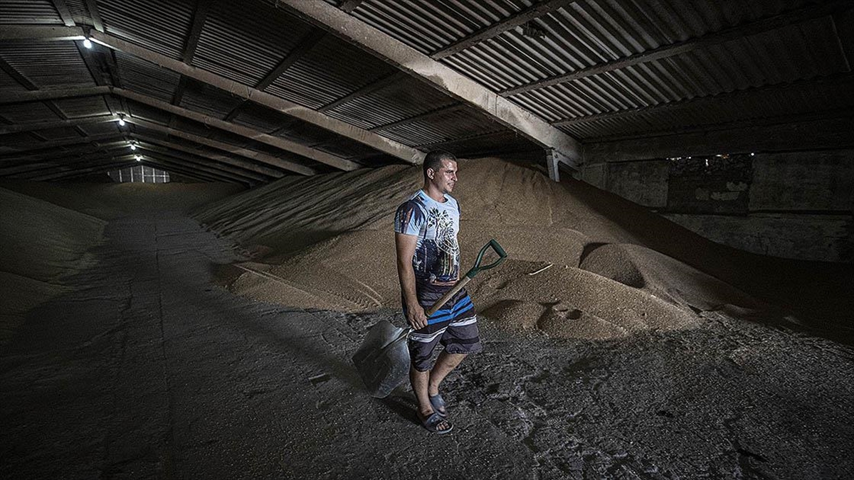 Ukraynalı Çiftçiler Tahıl Gemilerinin Limanlardan Çıkışını Bekliyor