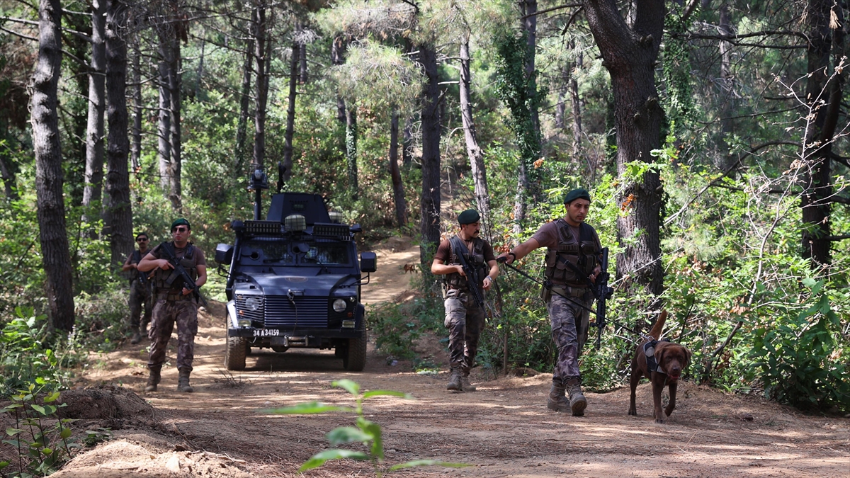 Ormanlık Alanlara Giriş Yasağı İstanbul'da Yangınların Önemli Kısmını Engelledi