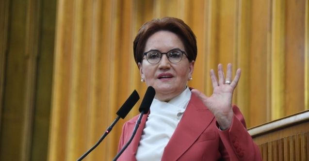Meral Akşener, ayçiçek fiyatıyla ilgili teklifini açıkladı