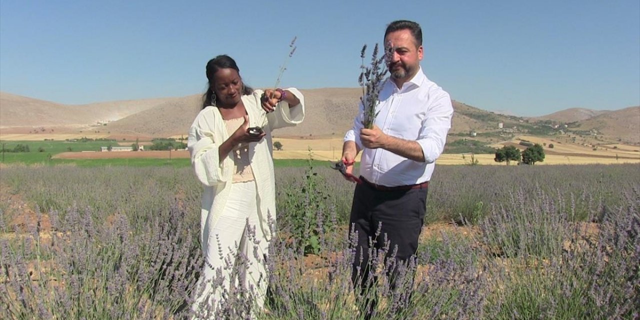Abd'li Şarkıcı Della Miles, Kahramanmaraş'ta Lavanta Hasat Etti