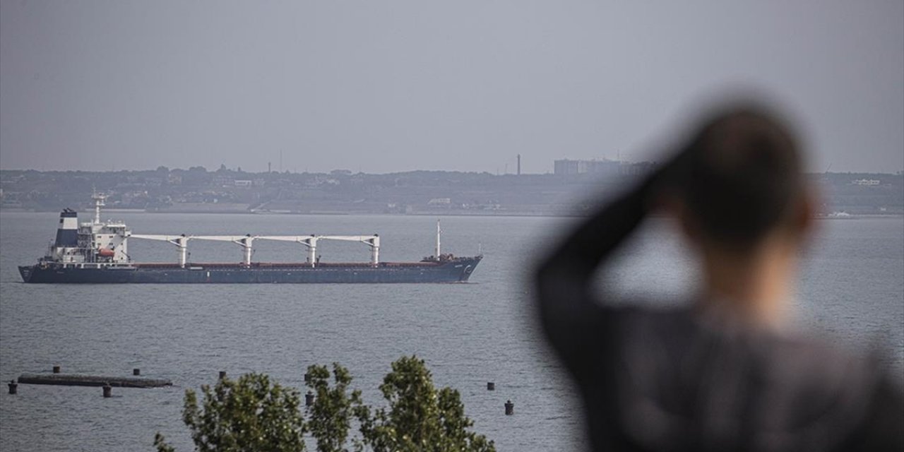 Dünya, Ukrayna'dan Tahıl Sevkiyatının Başlamasını Memnuniyetle Karşıladı