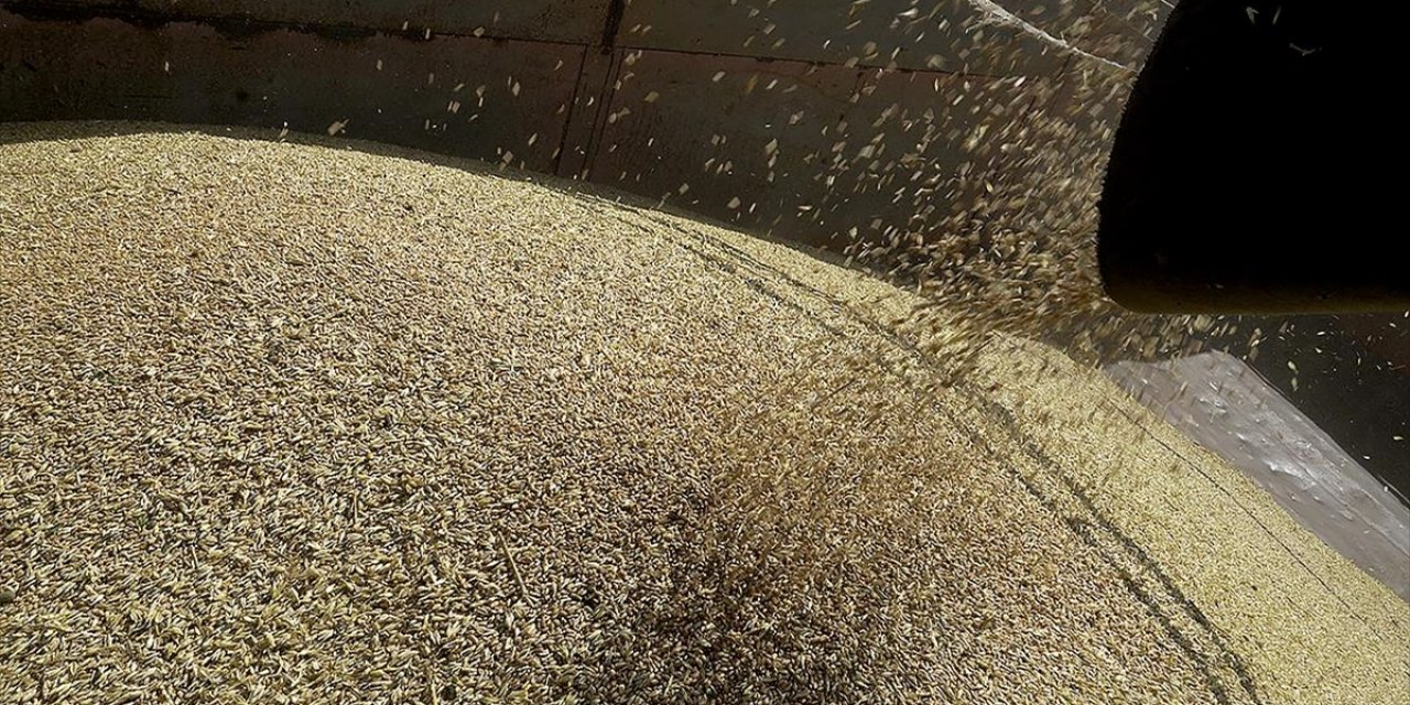 Tahıl Koridorunda İlk Gemiyle Fiyatlardaki Düşüş Hızlandı