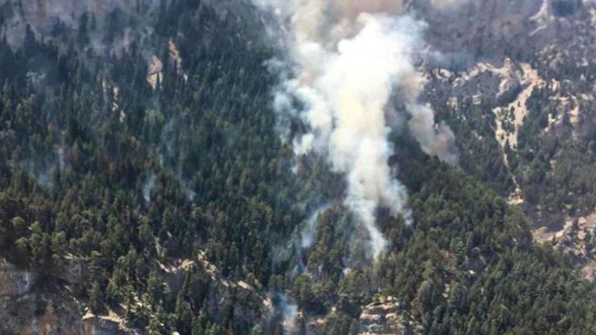 Mersin'de korkutan orman yangını!