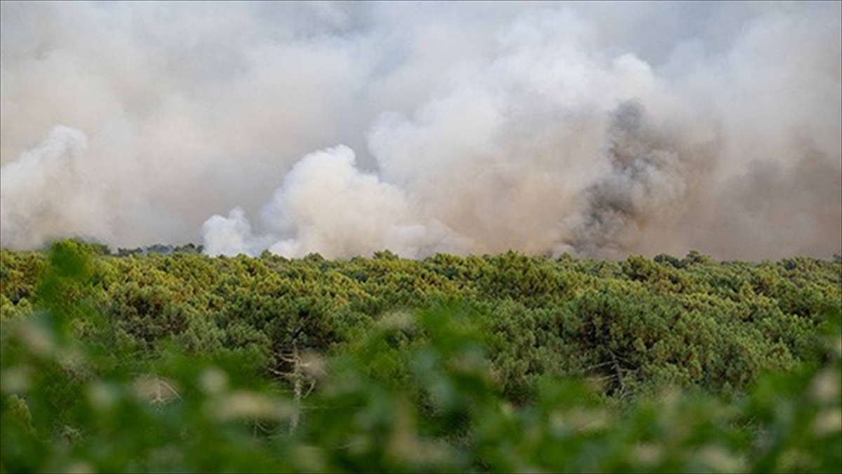 Fransa'da Bu Yıl Yangınlar Nedeniyle 47 Bin Hektardan Fazla Yeşil Alan Zarar Gördü