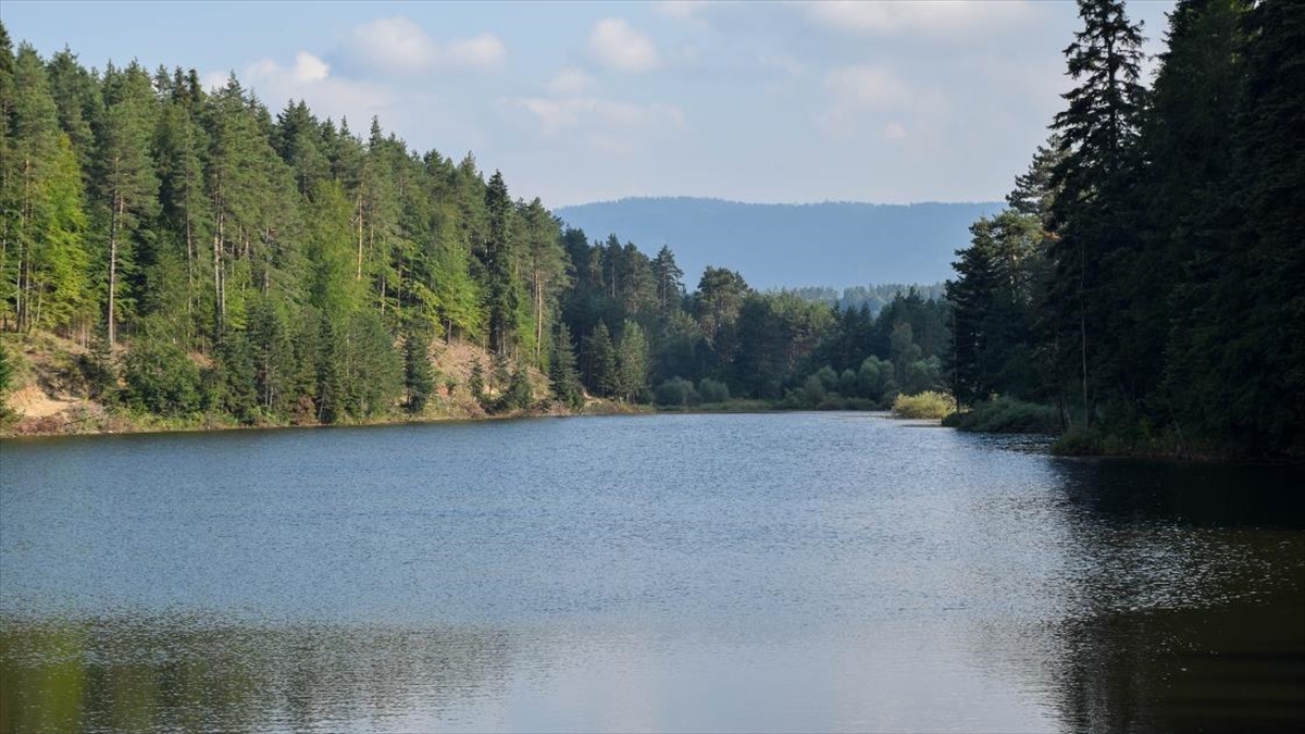 Bilecik'teki Bozcaarmut Göleti Doğaseverlerce Ziyaret Ediliyor