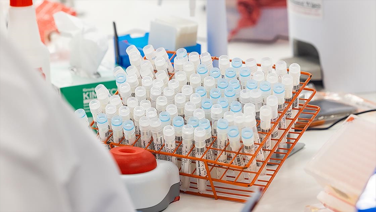 Brezilya'da Maymun Çiçeği Vakaları Nedeniyle Maymunlara Saldırılar Artıyor