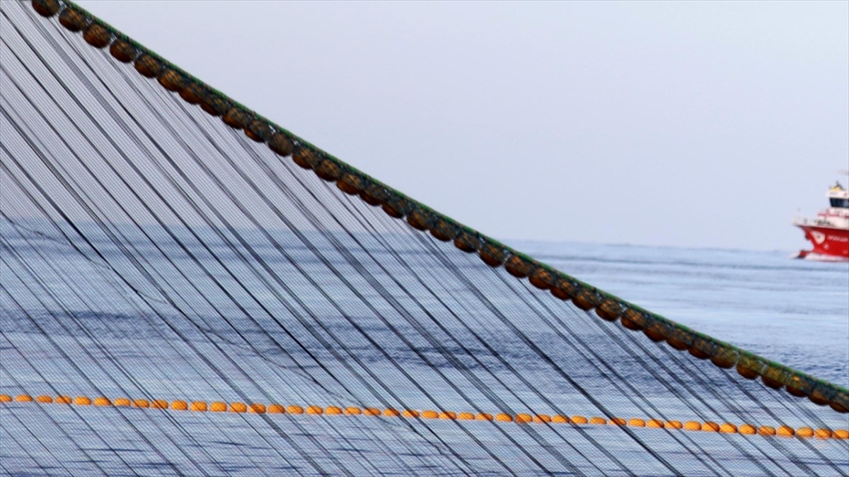 Küçük Boyda Palamut Avı Yasağına Uymayanlara Para Cezası Uygulandı