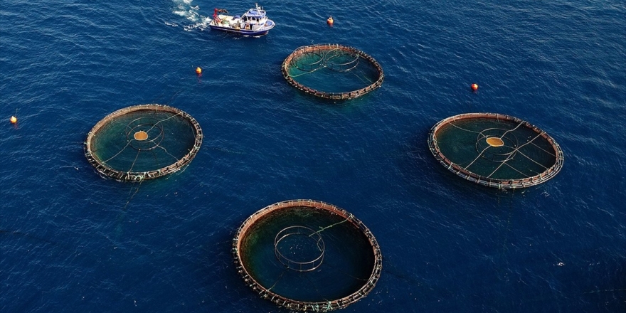 'Mavi Dünya' İçin Mavi Ekonomi