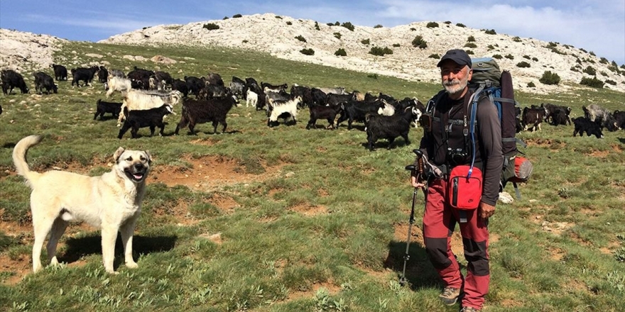 Yörüklerle 26 Gün Yürüyerek Göç Yolunu Kaydetti