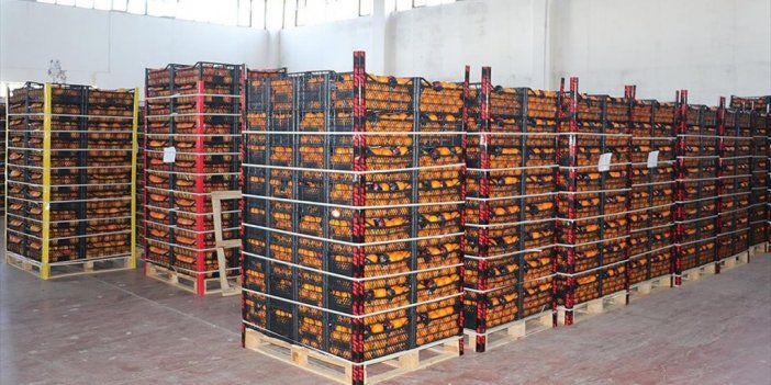 Türkiye'den Temmuzda 155,2 Milyon Dolarlık Yaş Meyve Sebze İhraç Edildi