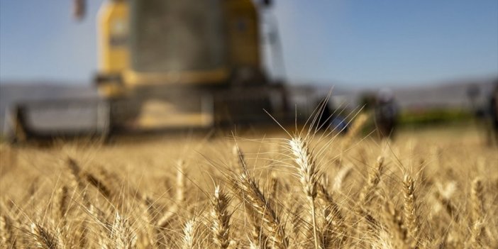 96,8 Milyon Liralık Tarımsal Destek Ödemeleri Bugün Yapılacak