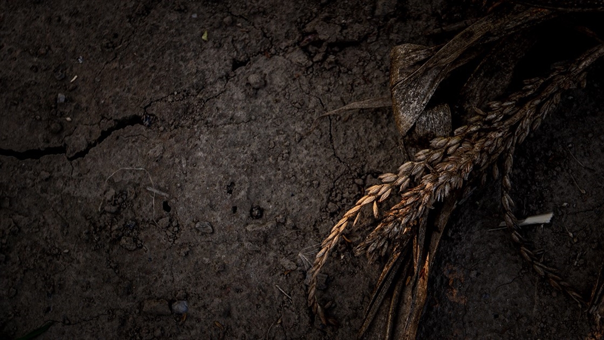 İklim Krizi Ve Ekonomik Eşitsizliğe Karşı Kampanyaya 13 Binin Üzerinde Çocuk Katıldı