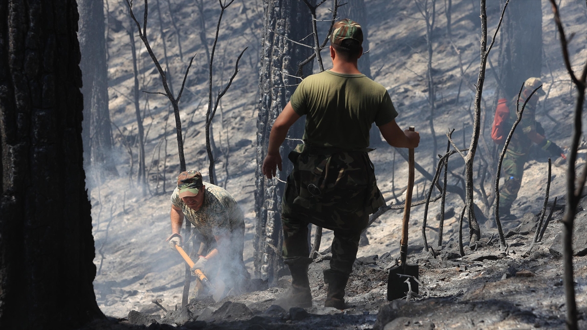Azerbaycan'da 5 Günde 5 Bin Hektar Arazi Yandı