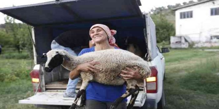 Çerçioğlu'ndan Koyunları Telef Olan Kadına Yardım