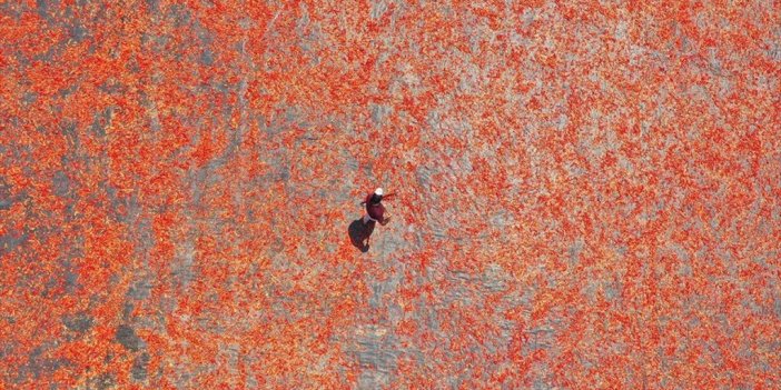 Şanlıurfa'nın Tescilli İsotu Tezgahlarda Yerini Almaya Başladı