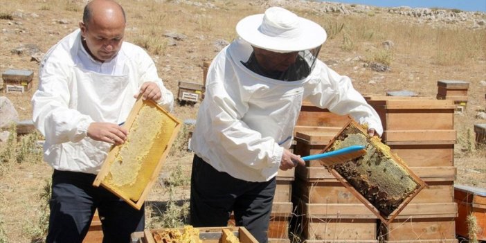 Toros Dağları'nda Ödüllü Eğriçayır Balının Sağımına Başlandı