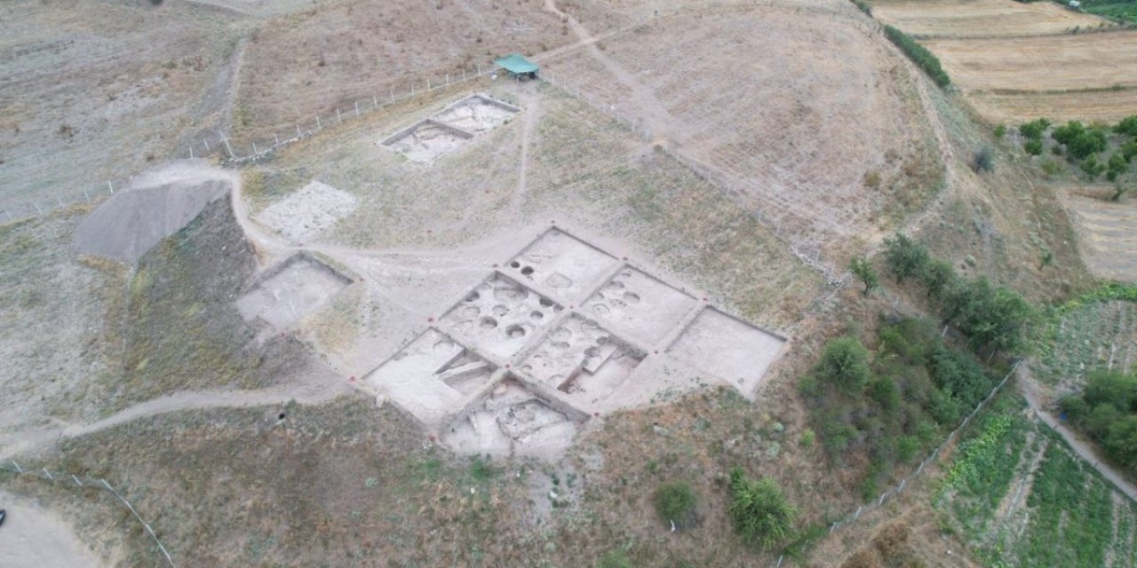 Kütahya Tavşanlı Höyük’te 4 bin 500 yıllık fındık kalıntıları bulundu