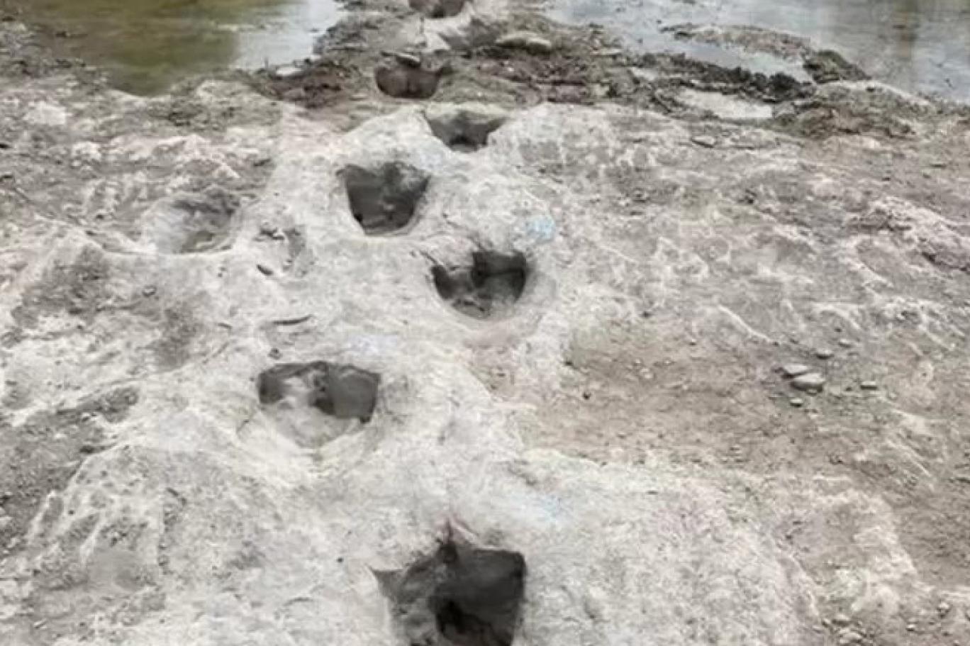 Kuraklık nedeniyle 113 milyon yıllık dinozor izleri ortaya çıktı